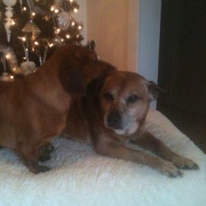 Meet your Posher, Pamela